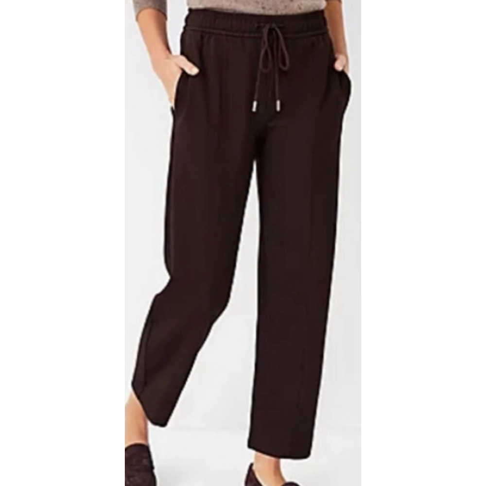 Ann Taylor Straight-Leg Drawstring Pants in Dark Brown